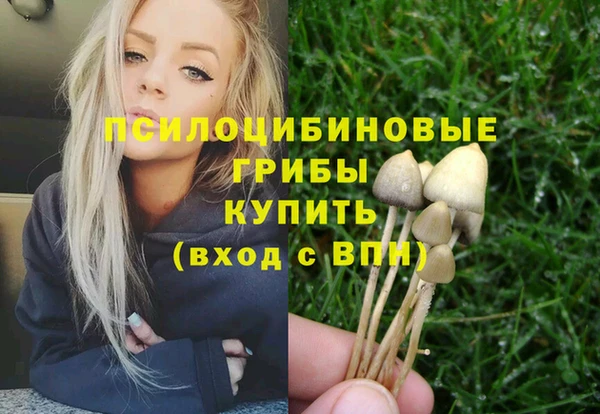 mdpv Беломорск