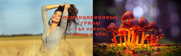 мет Белокуриха