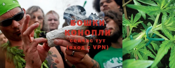 мет Белокуриха
