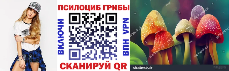 KRAKEN ТОР  Астрахань  Галлюциногенные грибы мицелий 